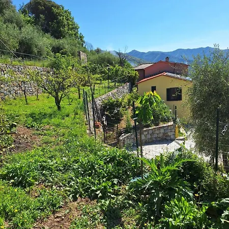 Feriehus Hillside Haven - Sea View Retreat With Pool Access *